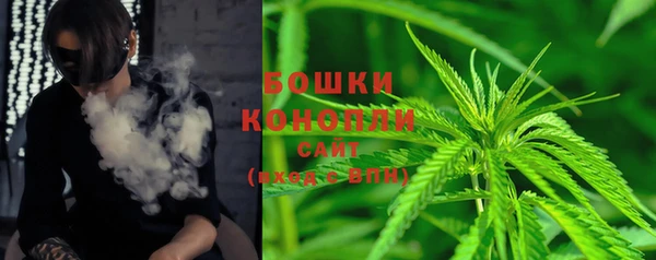 ПСИЛОЦИБИНОВЫЕ ГРИБЫ Вязьма