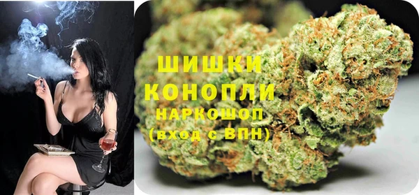 ПСИЛОЦИБИНОВЫЕ ГРИБЫ Вязьма