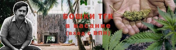 ПСИЛОЦИБИНОВЫЕ ГРИБЫ Вязьма