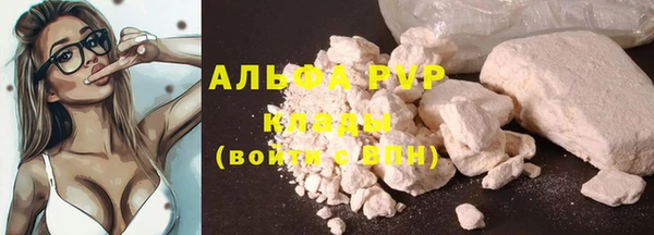 ПСИЛОЦИБИНОВЫЕ ГРИБЫ Вязьма
